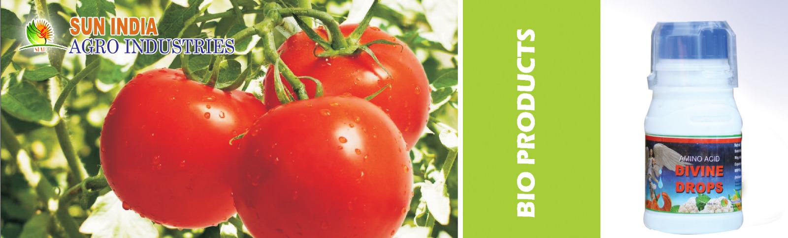 Divine Drop Header Image