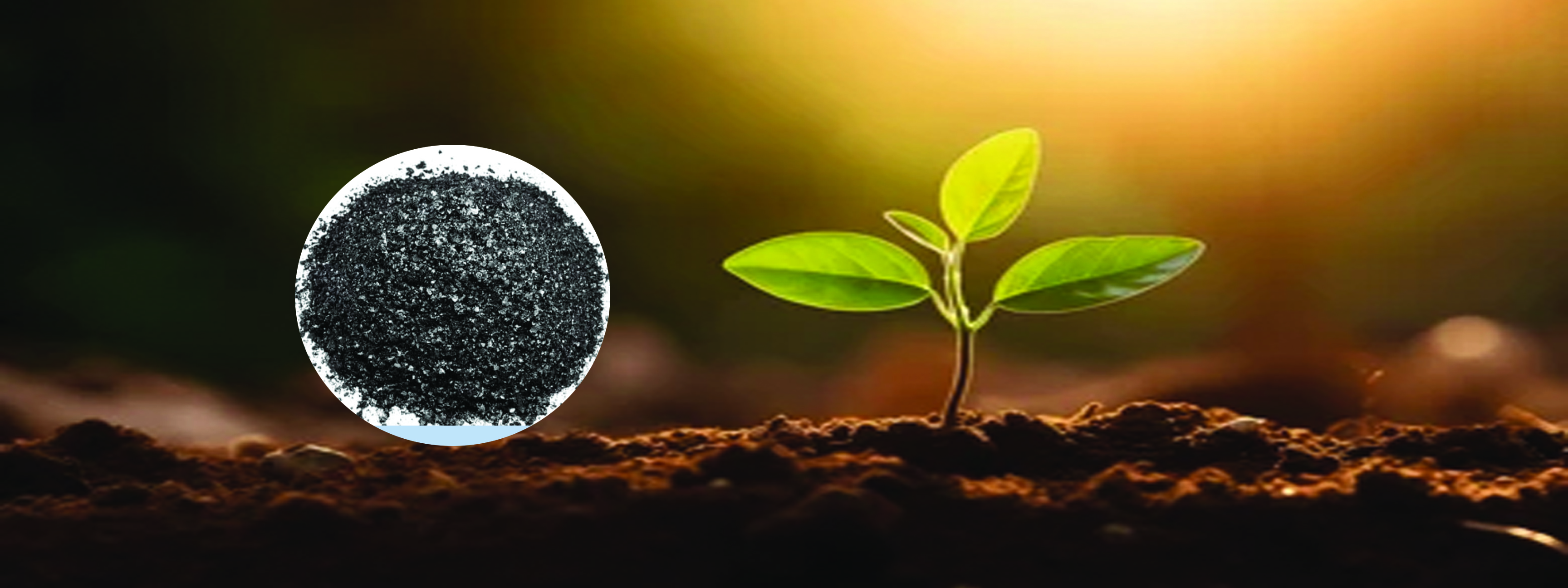 HUMIK ACID Header Image